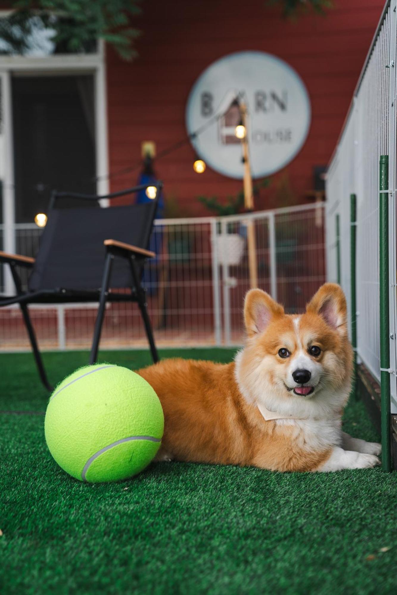 Villa Barn House Pet Friendly Pong Talong Esterno foto