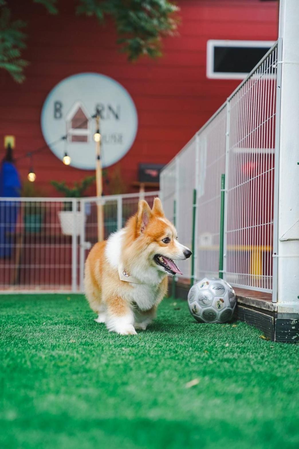 Villa Barn House Pet Friendly Pong Talong Esterno foto