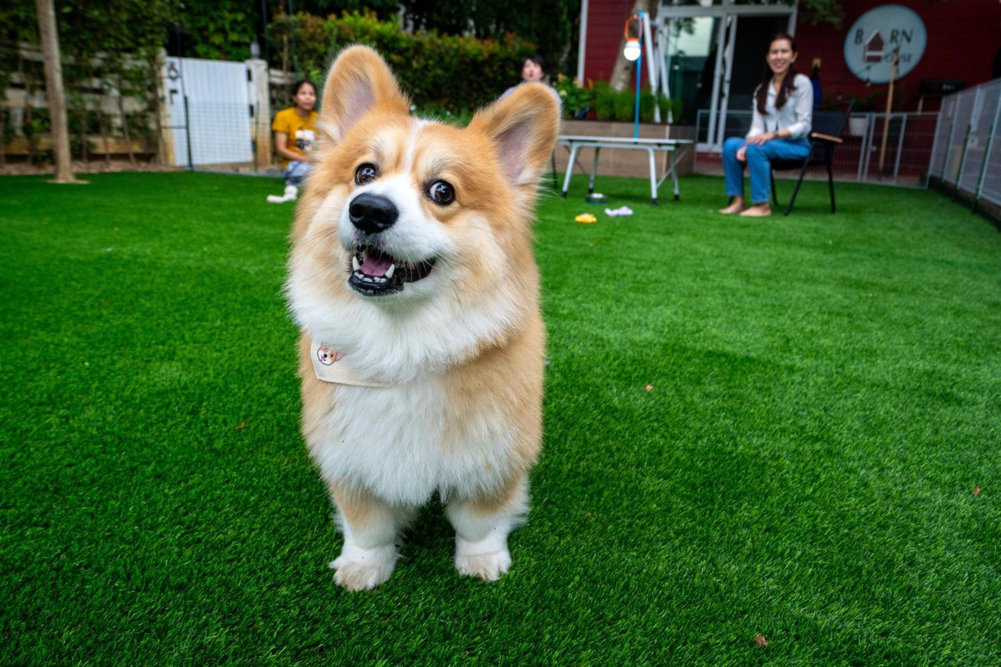 Villa Barn House Pet Friendly Pong Talong Esterno foto